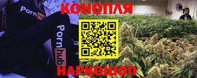 прущая мука Моздок