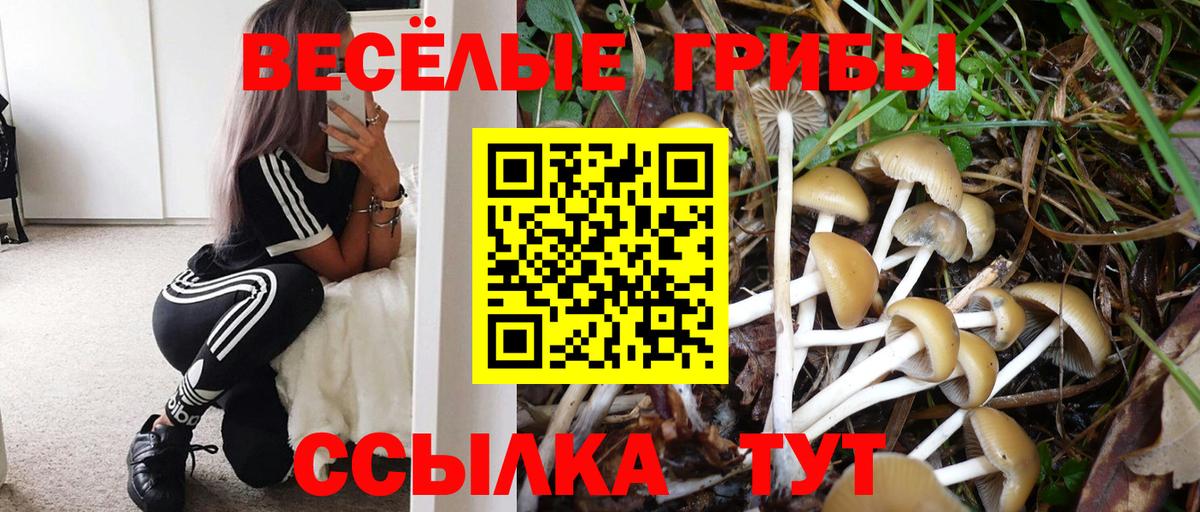 Псилоцибиновые грибы мицелий  Галлюциногенные грибы мицелий  Вход с VPN  Хабаровск 