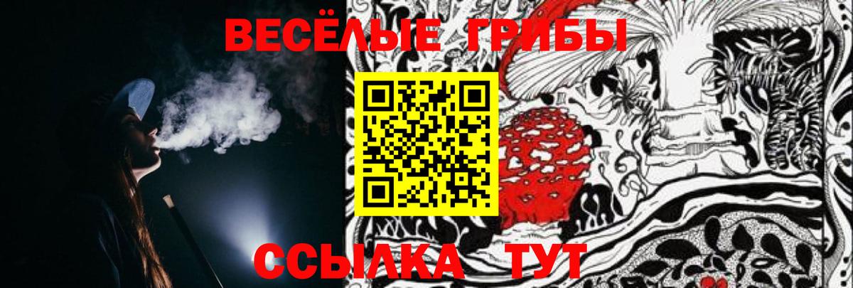 Галлюциногенные грибы GOLDEN TEACHER Хабаровск